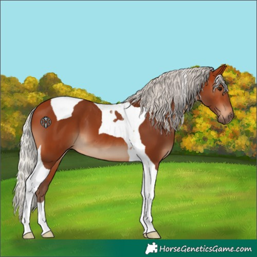 Horse Color:Silver Bay Tobiano 