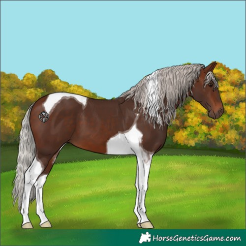 Horse Color:Silver Brown Tobiano 