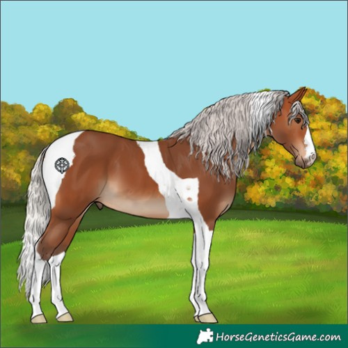 Horse Color:Silver Bay Tobiano