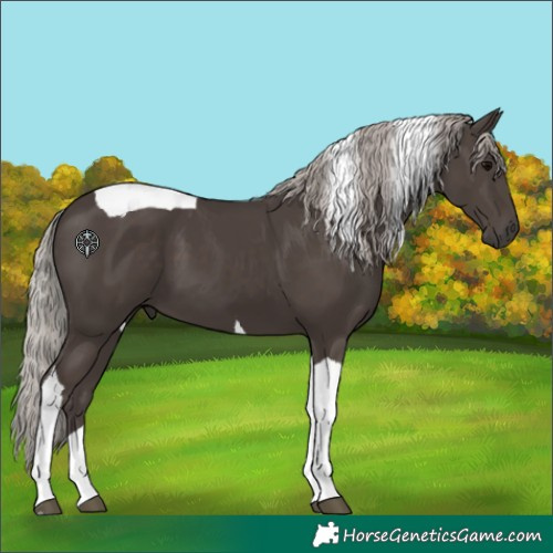 Horse Color:Silver Black Tobiano 