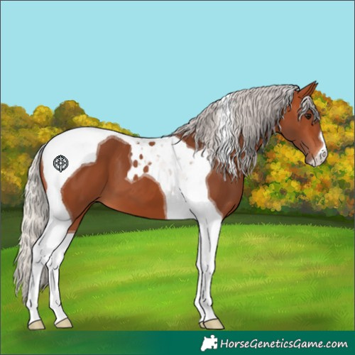 Horse Color:Silver Bay Tobiano 