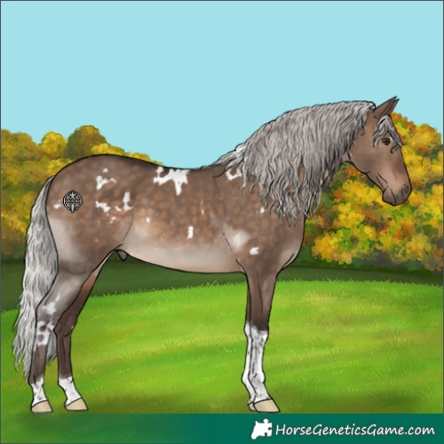 Horse Color:White Spotted Silver Brown Dun Tobiano 