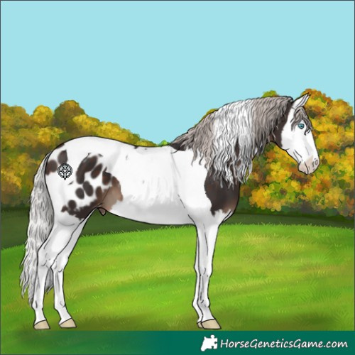 Horse Color:Silver Brown Splash Tobiano Blanket 