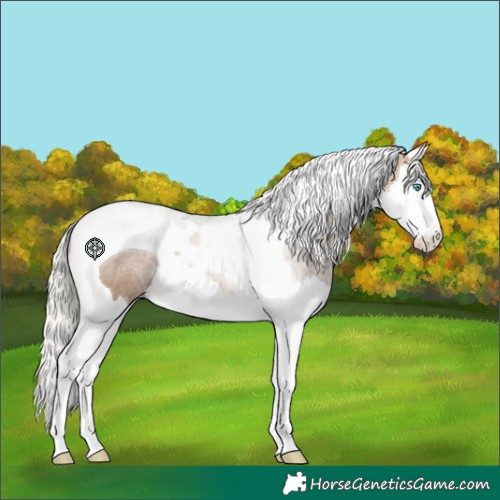Horse Color:Silver Buckskin Splash Tobiano 