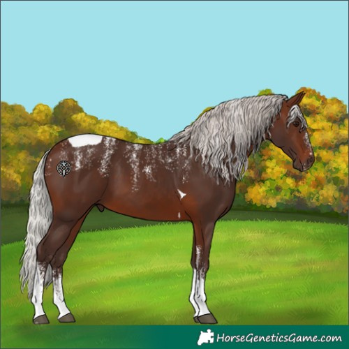 Horse Color:Powder White Silver Brown Tobiano