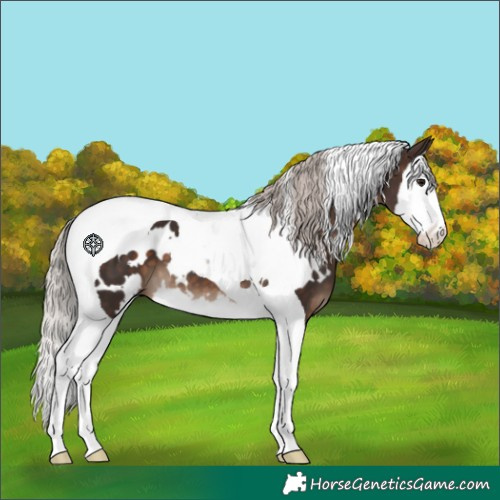 Horse Color:White Spotted Silver Brown Splash Tobiano 