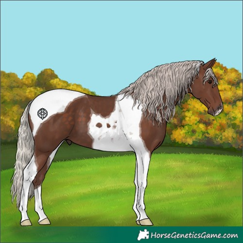Horse Color:Silver Black Tobiano