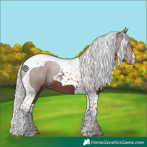 Horse Color:Silver Black Tobiano