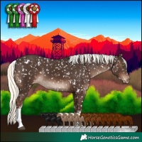 Horse Color:White Spotted Liver Chestnut Mushroom Tobiano Snowflake Varnish Rabicano
