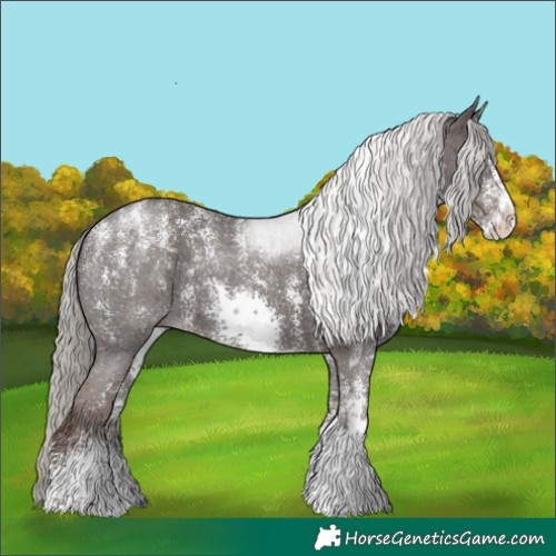 Horse Color:Powder White Silver Black Sabino 