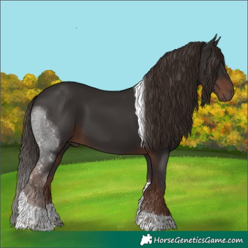 Horse Color:Liver Chestnut Tobiano
