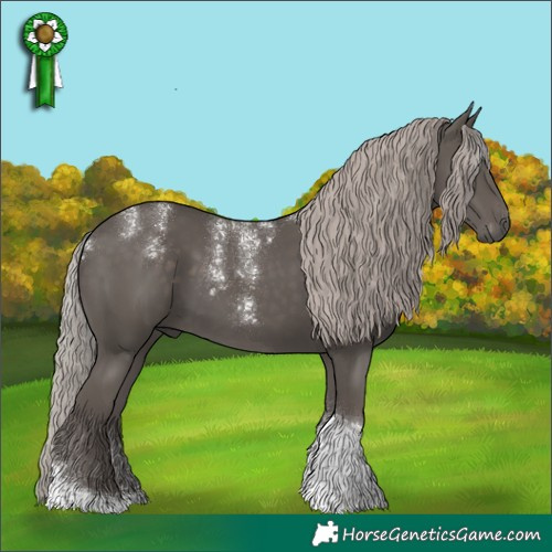 Horse Color:Powder White Silver Black Tobiano