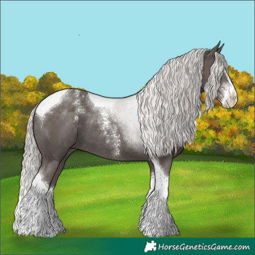 Horse Color:Powder White Silver Black Splash Tobiano 