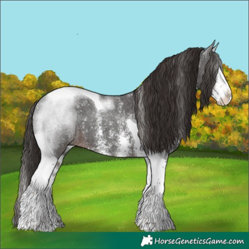 Horse Color:Liver Chestnut Sabino Splash Tobiano 