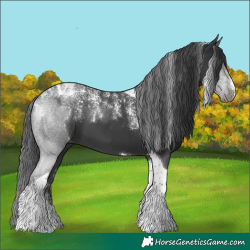 Horse Color:Powder White Black Tobiano