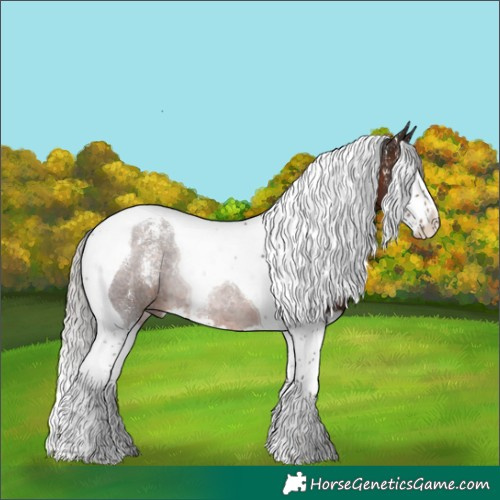 Horse Color:Powder White Silver Brown Splash Tobiano 