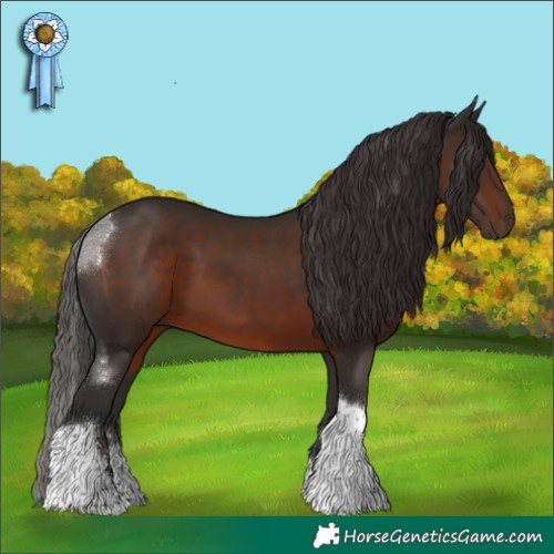 Horse Color:Liver Chestnut Sabino Tobiano 