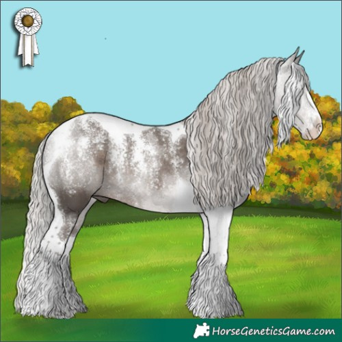 Horse Color:Powder White Silver Black Tobiano