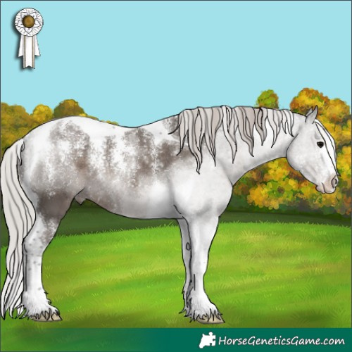 Horse Color:Powder White Silver Black Tobiano 
