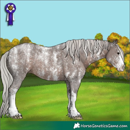 Horse Color:Powder White Silver Black Sabino 