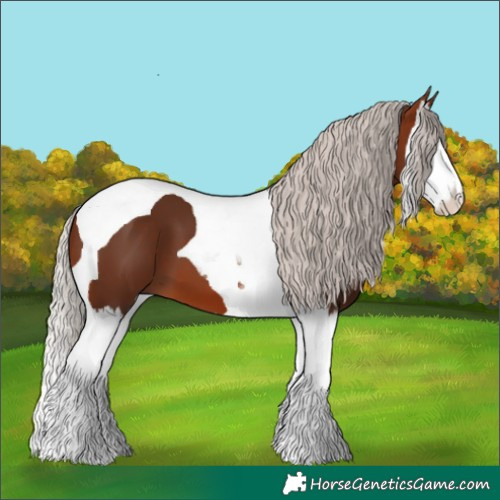 Horse Color:Silver Brown Splash Tobiano