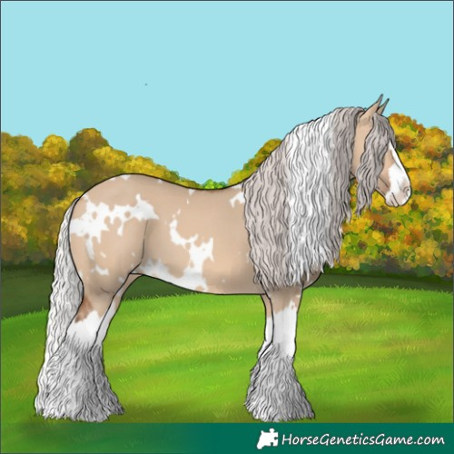 Horse Color:White Spotted Silver Bay Dun Splash