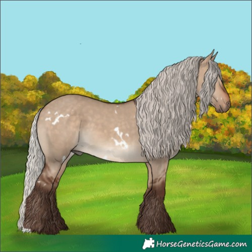 Horse Color:White Spotted Silver Brown Dun 