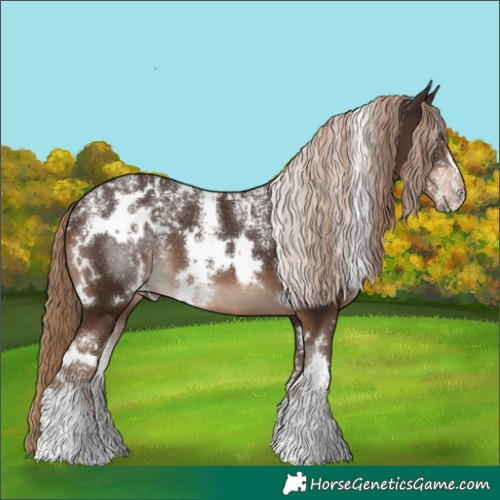 Horse Color:Powder White White Spotted Liver Chestnut