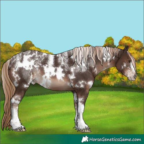 Horse Color:Powder White White Spotted Liver Chestnut 