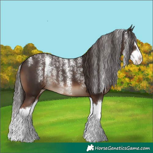 Horse Color:Powder White Liver Chestnut Splash