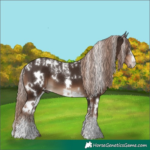 Horse Color:Powder White White Spotted Liver Chestnut 