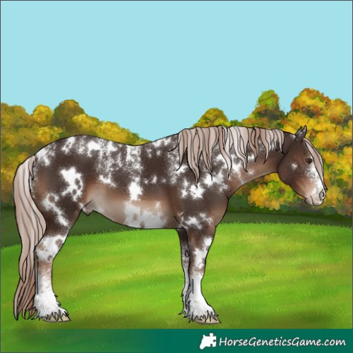 Horse Color:Powder White White Spotted Liver Chestnut 