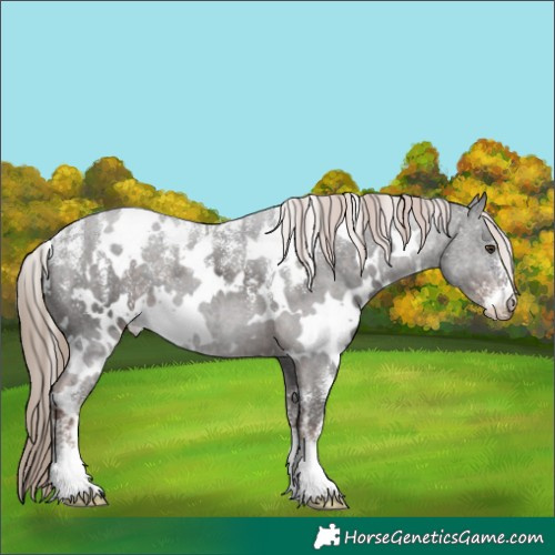 Horse Color:Powder White White Spotted Liver Chestnut 