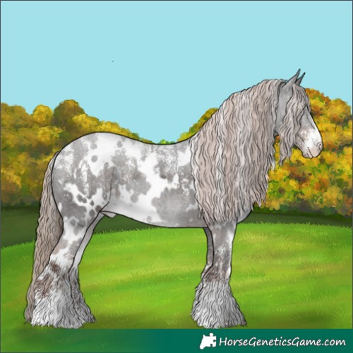 Horse Color:Powder White White Spotted Liver Chestnut 