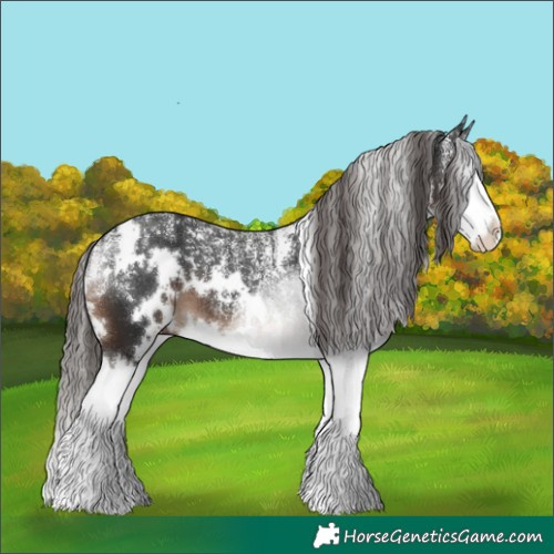 Horse Color:Powder White White Spotted Liver Chestnut Splash 