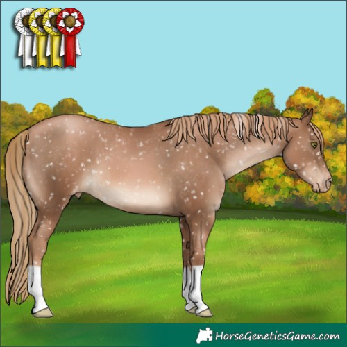 Horse Color:Liver Chestnut Pearl Snowflake Varnish 