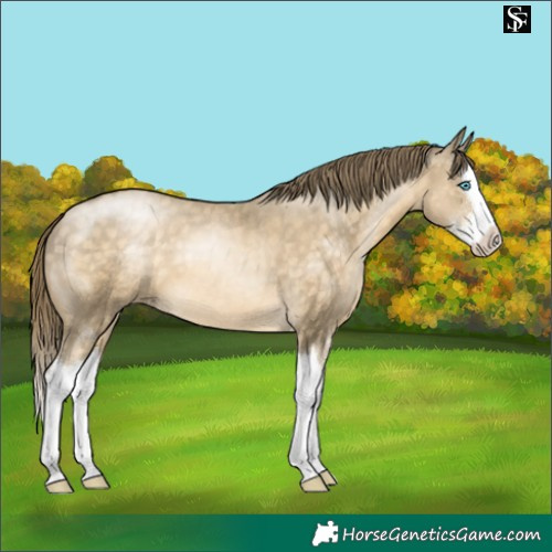 Horse Color:Brown Snowdrop Pearl Sabino Splash
