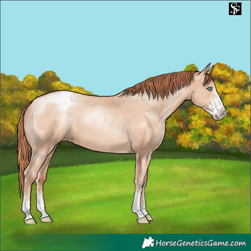 Horse Color:Sable Champagne Pearl Sabino Varnish 
