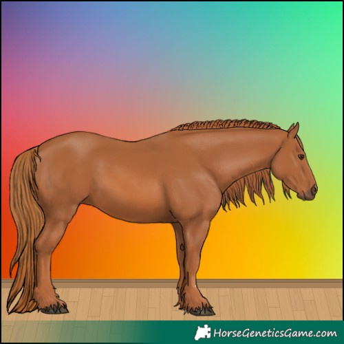 Horse Color:Chestnut 