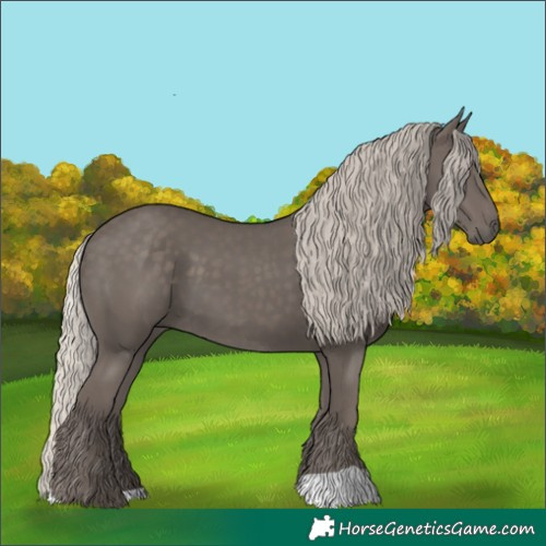 Horse Color:Silver Black