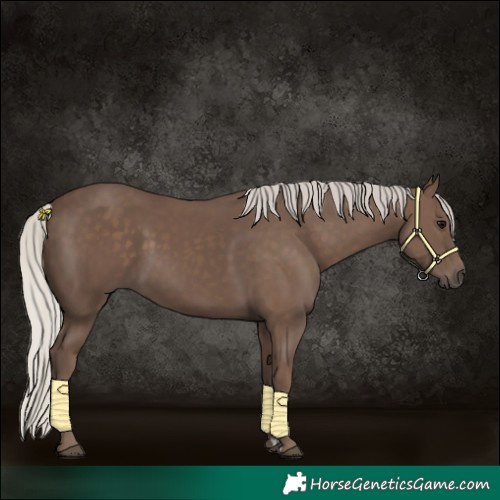 Horse Color:Silver Black 