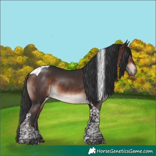 Horse Color:Bay Mushroom Tobiano 