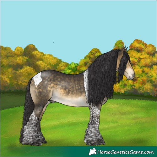Horse Color:Buckskin Mushroom Tobiano 