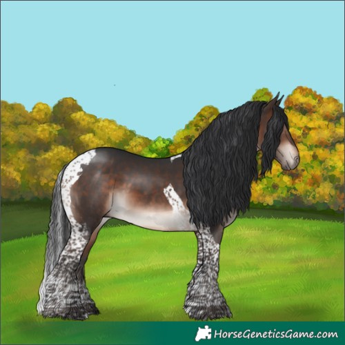 Horse Color:Bay Mushroom Tobiano 