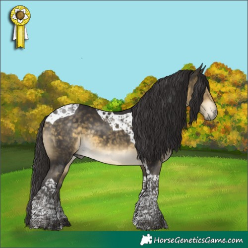 Horse Color:Buckskin Mushroom Tobiano 