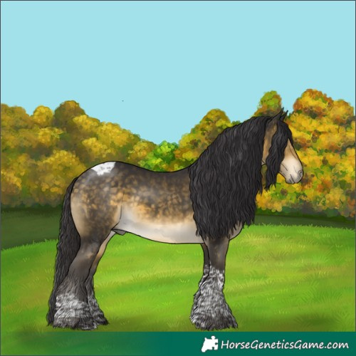 Horse Color:Buckskin Mushroom Tobiano 