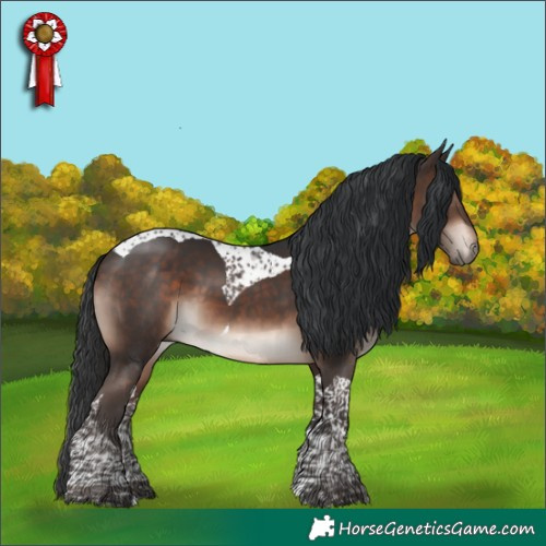 Horse Color:Bay Mushroom Tobiano