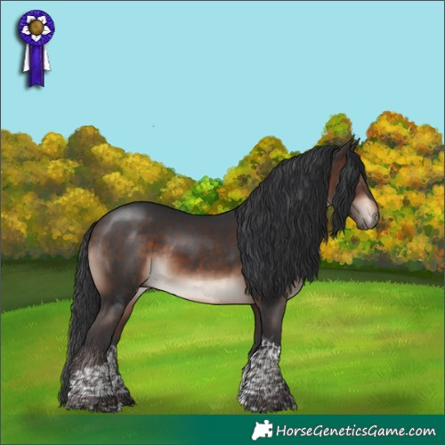 Horse Color:Bay Mushroom Tobiano 