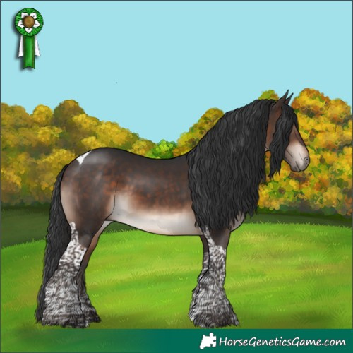Horse Color:Bay Mushroom Tobiano 