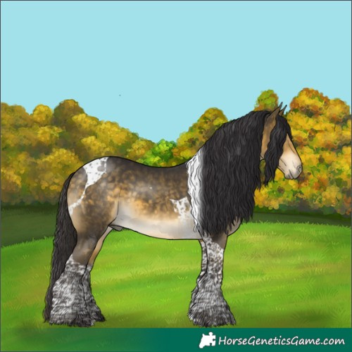 Horse Color:Buckskin Mushroom Tobiano 